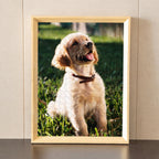 A framed custom jigsaw puzzle featuring a photo of a cute golden retriever puppy sitting on green grass, displayed on a dark surface against a beige wall.